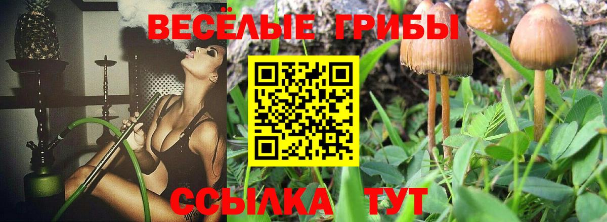 Галлюциногенные грибы Magic Shrooms  Вход с VPN  Белорецк 