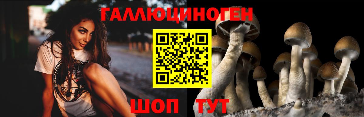 Галлюциногенные грибы мицелий Белорецк